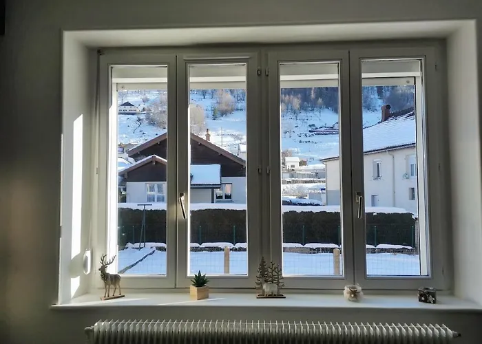 Nid Douillet 3 Etoiles Au Centre De * La Bresse