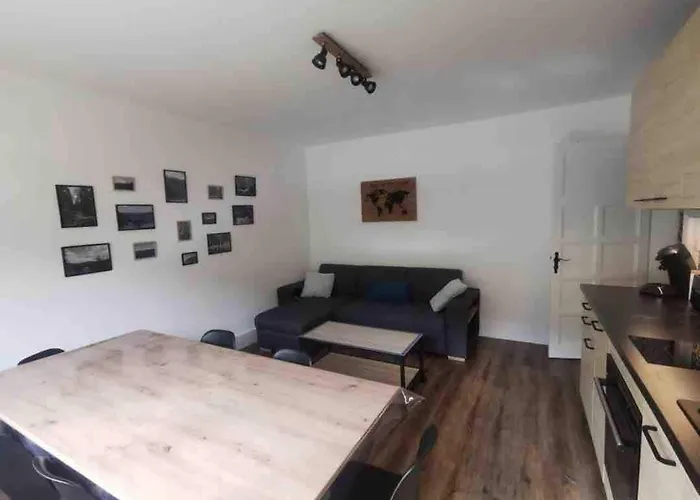 Appartement Nid Douillet 3 Etoiles Au Centre De